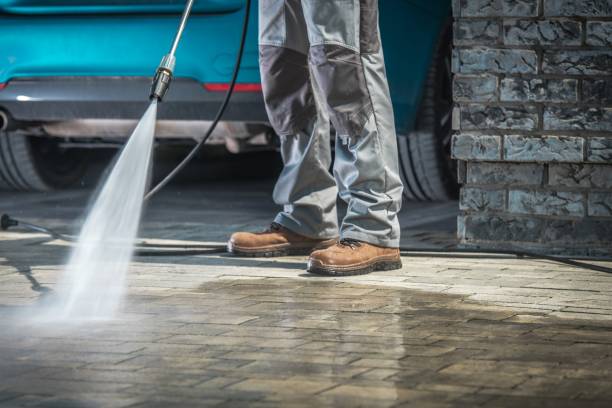 Best Animal Enclosure Cleaning  in Violet, LA